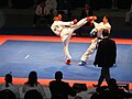 Thumbnail for version as of 01:20, 31 May 2011