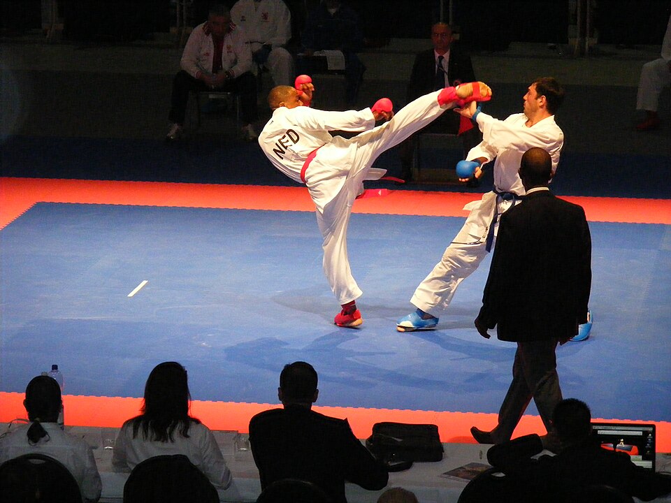 File:Karate 2011 EM und Karate Team 046.JPG